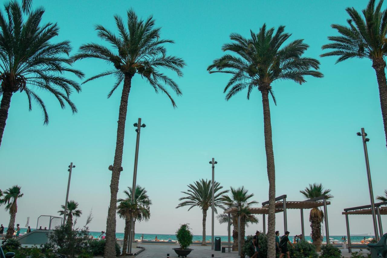 Texas Apartment Alicante Bagian luar foto